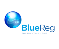 Logo BlueReg - Client de Cabient Chevallier conseil - Franck Chevallier